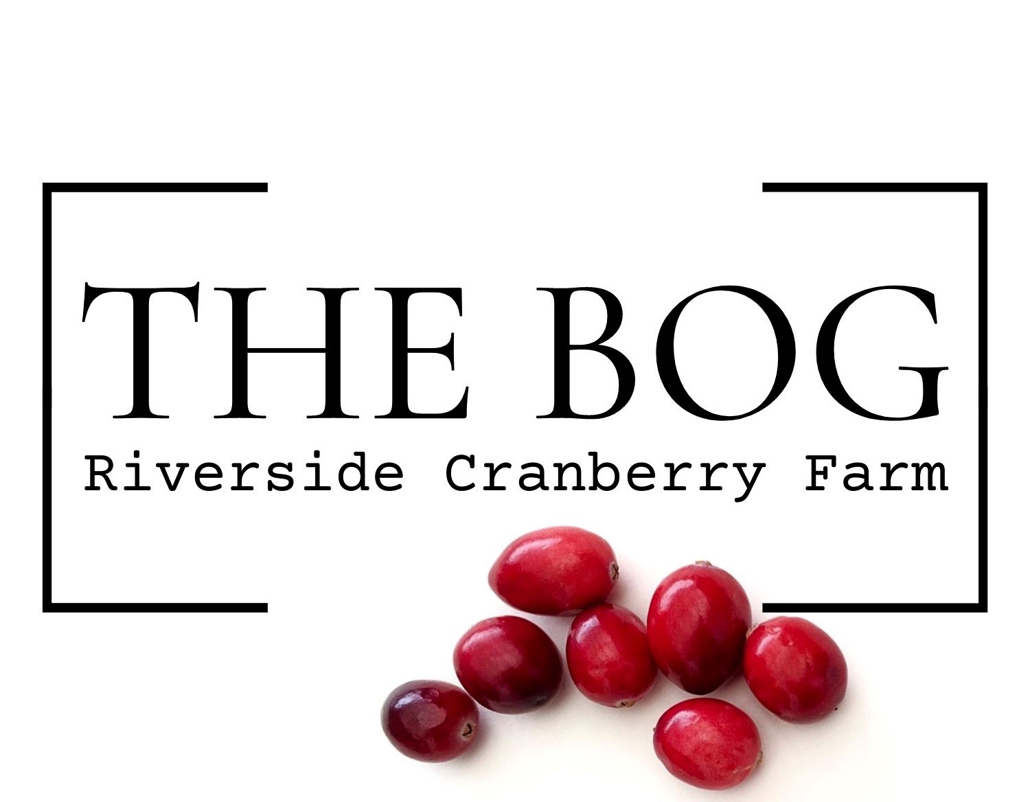 THE BOG Riverside Cranberries