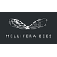 Mellifera Bees